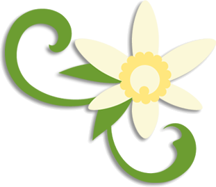 Daffodil svg #18, Download drawings