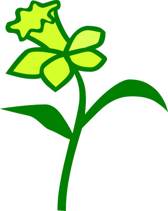 Daffodil svg #12, Download drawings
