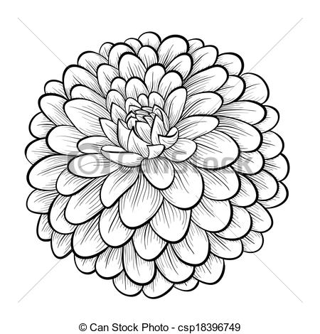 Dahlia clipart #5, Download drawings