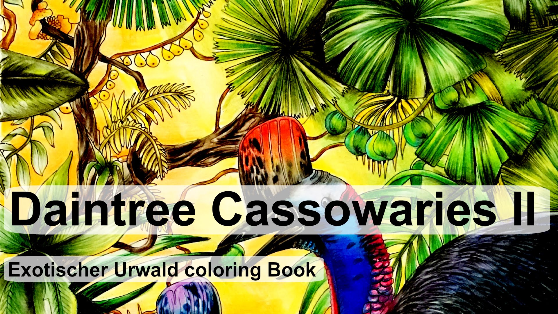 Daintree Rainforest coloring #1, Download drawings