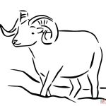 Dall Sheep coloring #1, Download drawings