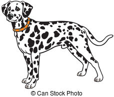 Dalmation clipart #11, Download drawings