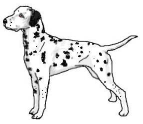 Dalmation clipart #14, Download drawings