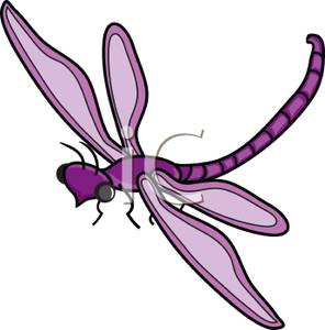 Damselfly clipart #12, Download drawings