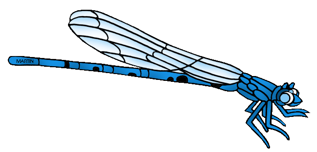 Damselfly clipart #13, Download drawings