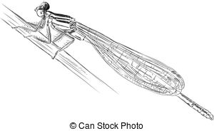 Damselfly clipart #18, Download drawings