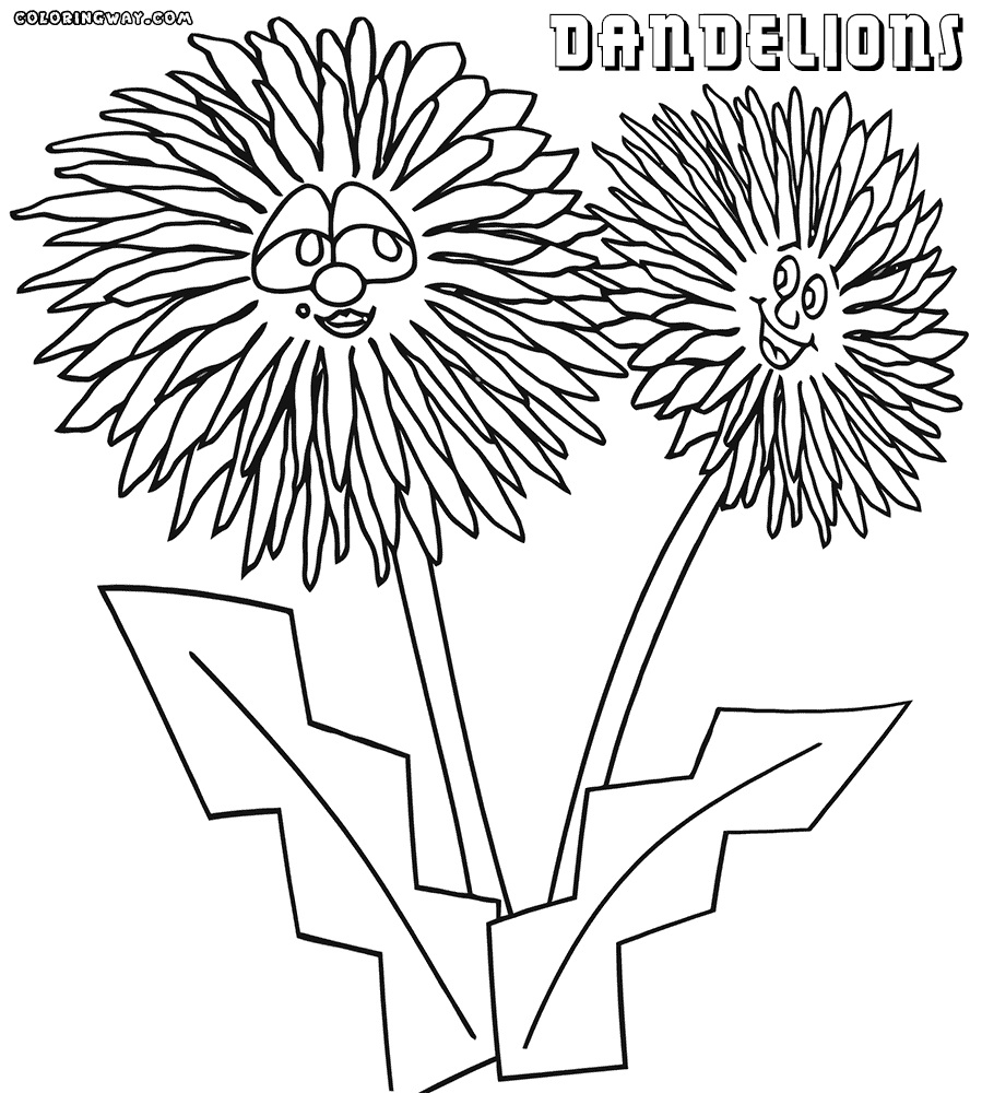 Dandelion coloring #15, Download drawings