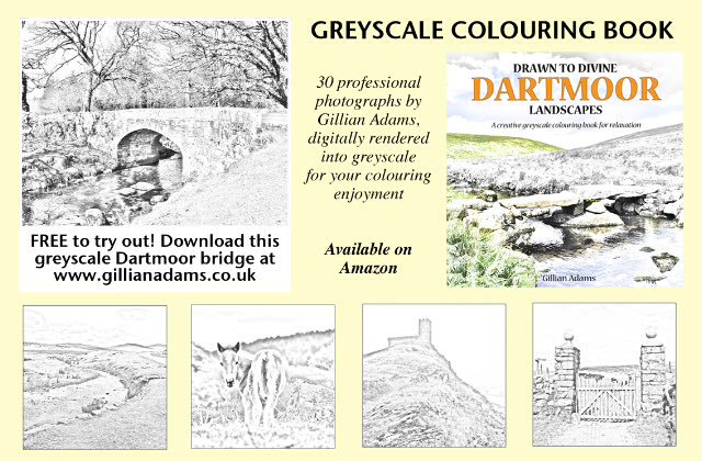 Dartmoor National Park coloring #7, Download drawings