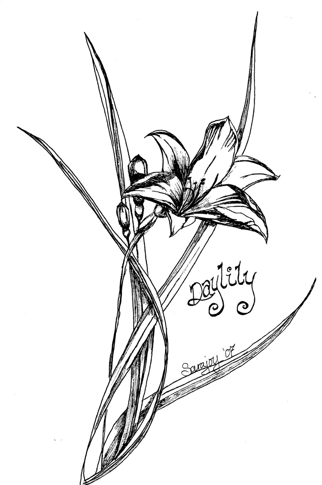 Daylily coloring #10, Download drawings