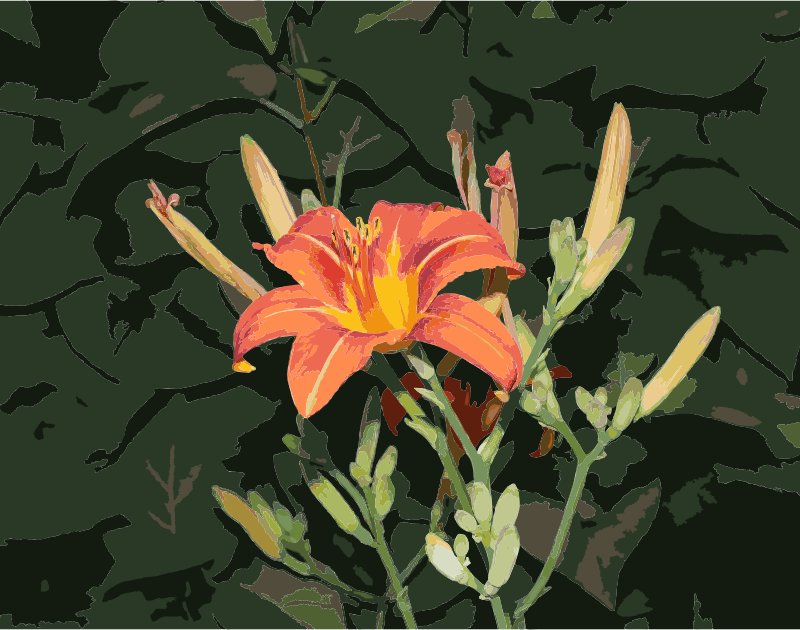 Daylily svg #17, Download drawings