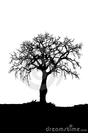Dead Tree Dark Abstract clipart #18, Download drawings