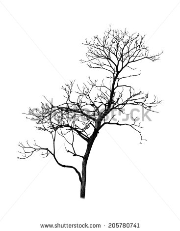 Dead Tree Dark Abstract coloring #9, Download drawings