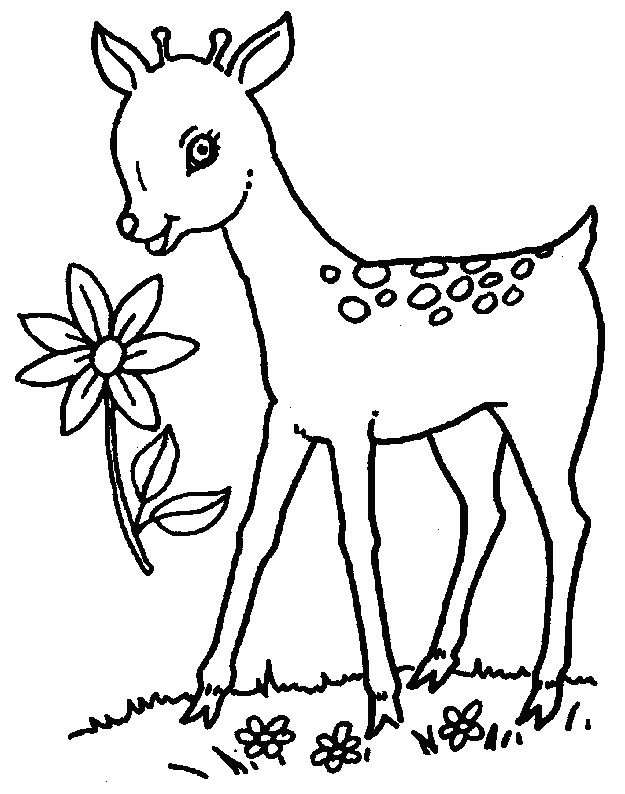 Deer coloring #16, Download drawings