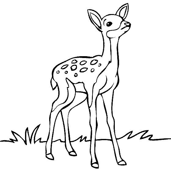 Deer coloring #19, Download drawings