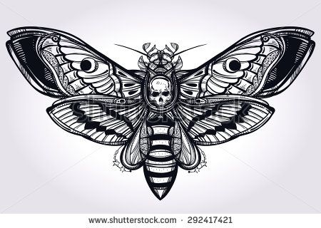 Deaths Head Moth coloring #15, Download drawings