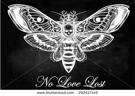 Deaths Head Moth coloring #2, Download drawings