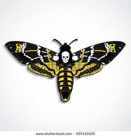 Deaths Head Moth coloring #17, Download drawings