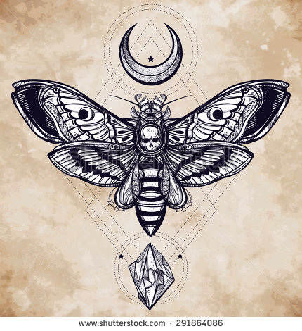 Deaths Head Moth coloring #14, Download drawings