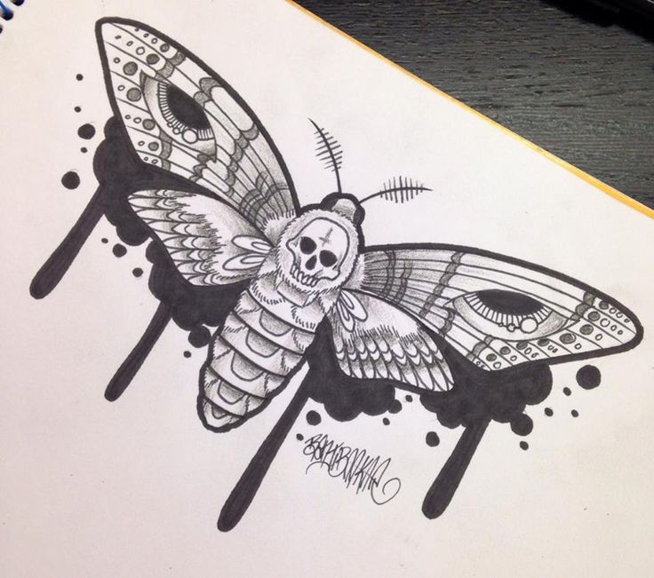 Deaths Head Moth svg #13, Download drawings