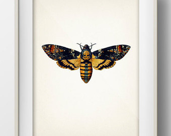 Deaths Head Moth svg #14, Download drawings