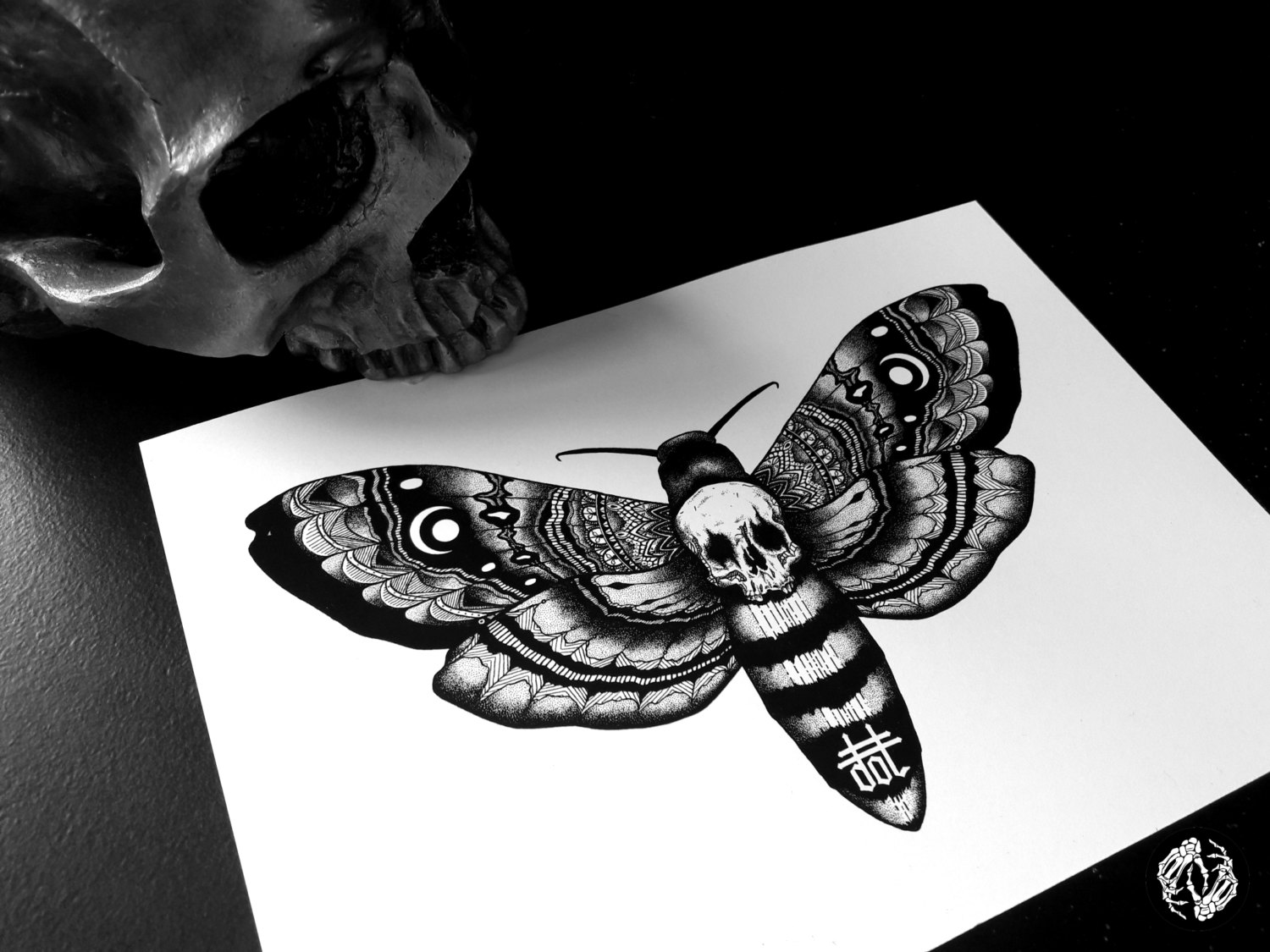 Deaths Head Moth svg #10, Download drawings
