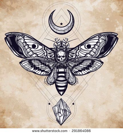 Deaths Head Moth svg #20, Download drawings