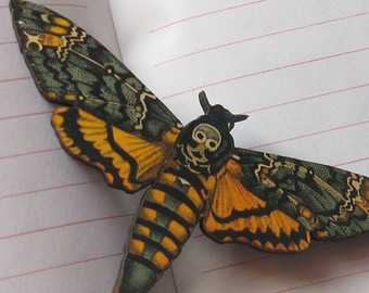 Deaths Head Moth svg #7, Download drawings