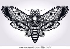 Deaths Head Moth svg #6, Download drawings