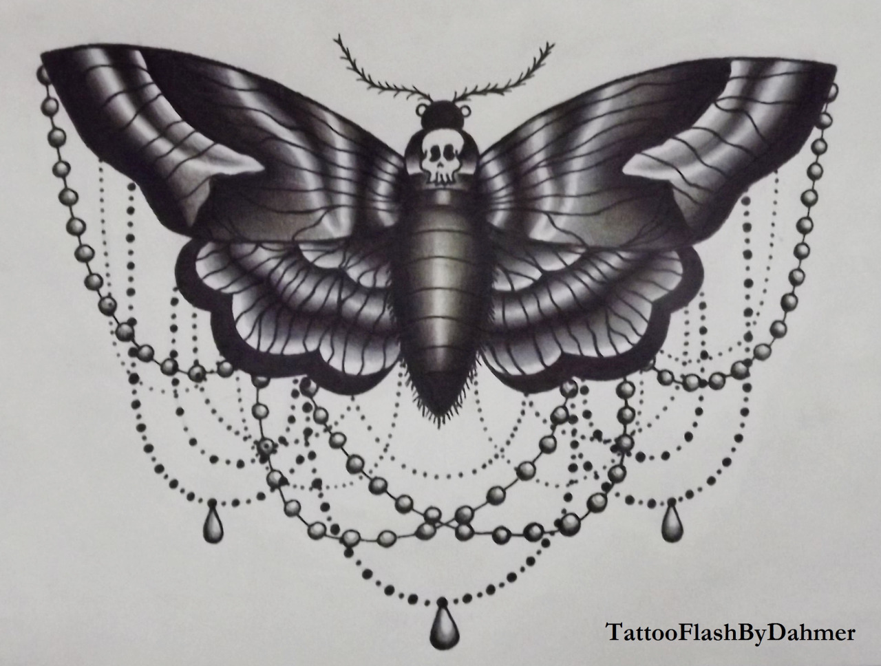 Deaths Head Moth svg #8, Download drawings
