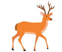 Deer clipart #19, Download drawings
