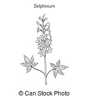 Delphinium clipart #6, Download drawings