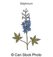 Delphinium clipart #7, Download drawings