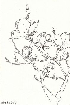 Delphinium coloring #10, Download drawings
