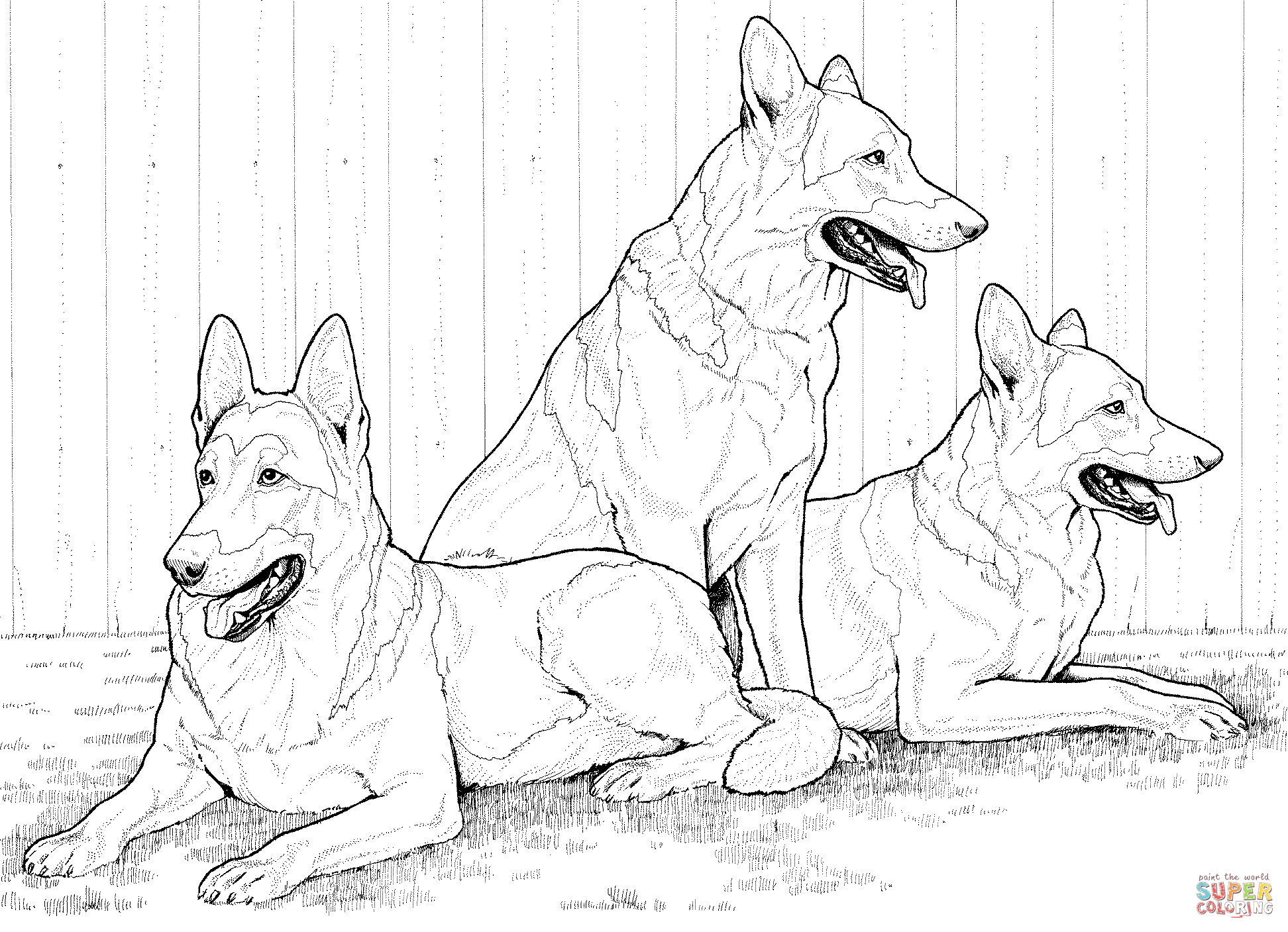 Deutscher Schaeferhund coloring #1, Download drawings