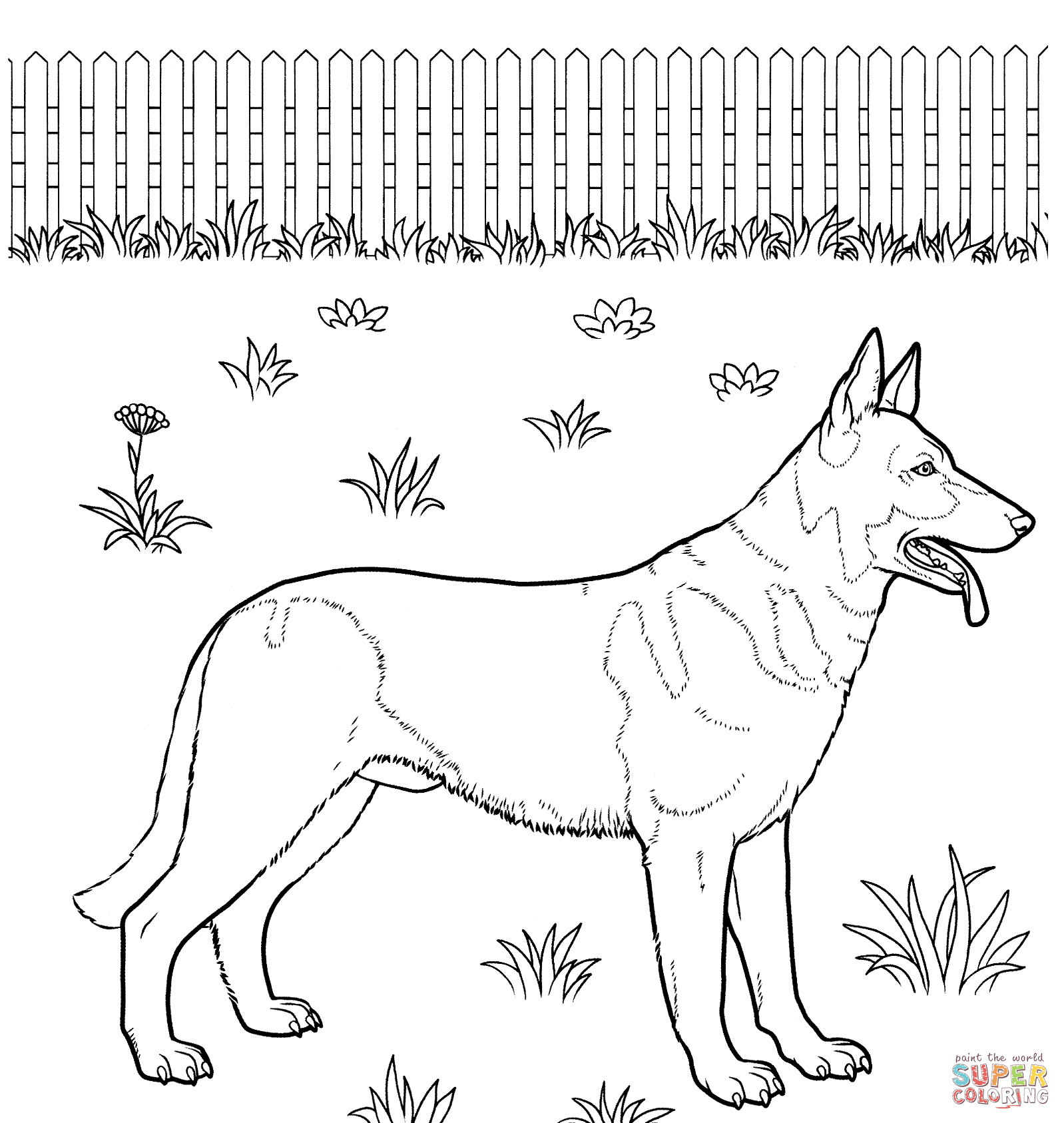 German Shepherd coloring #12, Download drawings