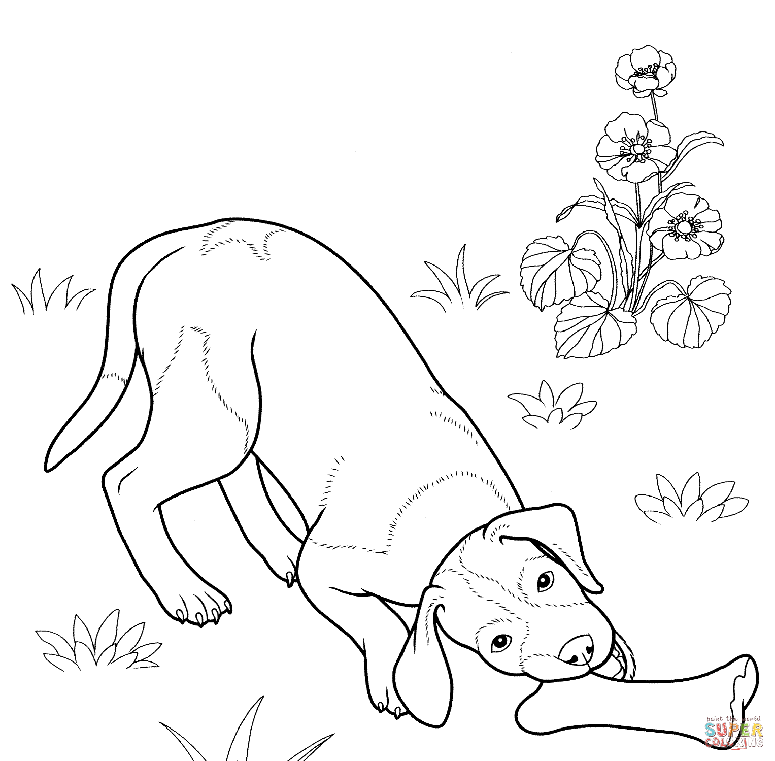 Deutscher Schaeferhund coloring #5, Download drawings