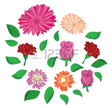 Dianthus clipart #7, Download drawings
