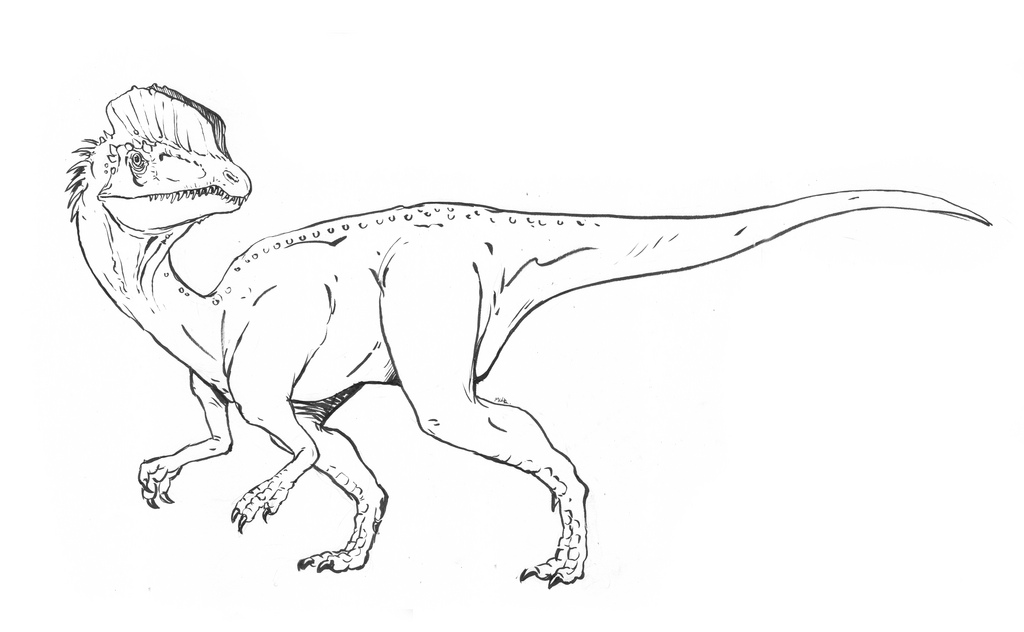 Dilophosaurus coloring #16, Download drawings
