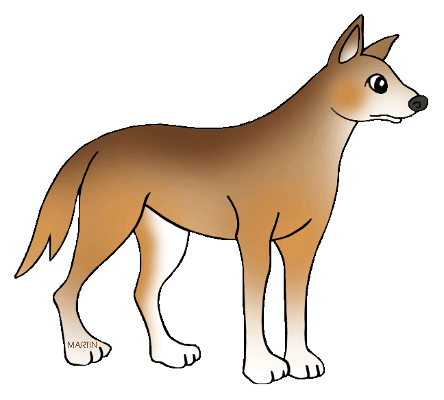Dingo clipart #9, Download drawings
