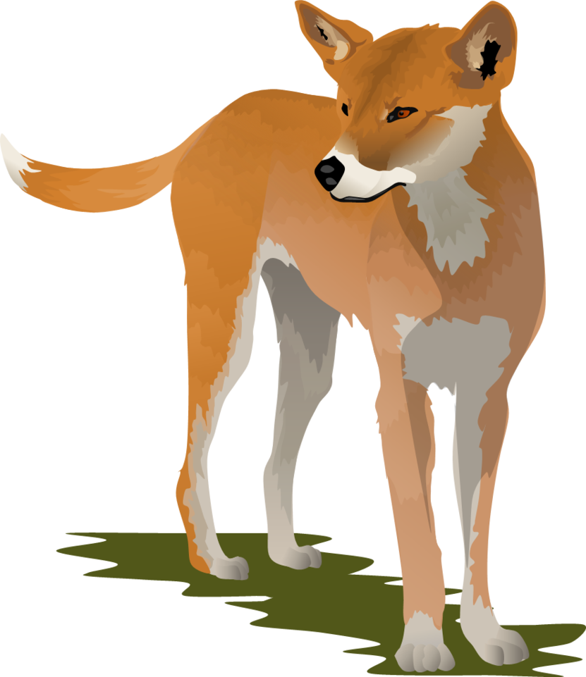 Dingo clipart #3, Download drawings