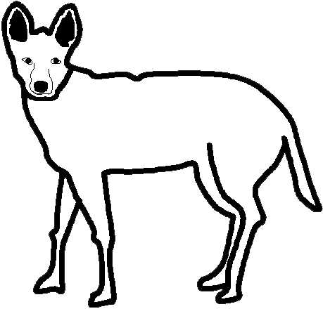 Dingo clipart #17, Download drawings