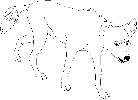 Dingo coloring #9, Download drawings