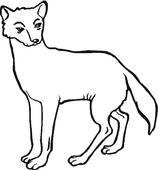 Dingo coloring #3, Download drawings