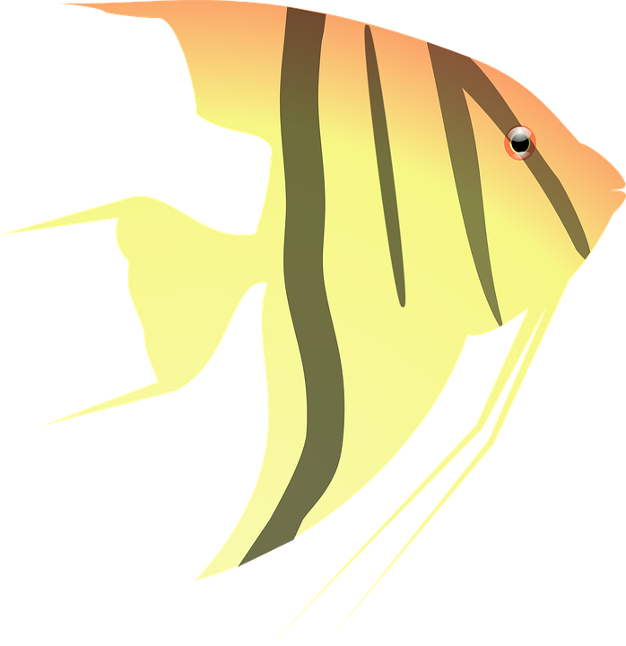 Longhorn Cowfish svg #1, Download drawings
