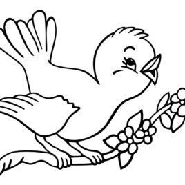 Doctor Bird coloring #1, Download drawings