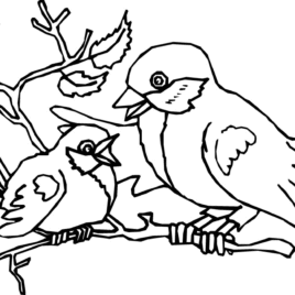 Doctor Bird coloring #16, Download drawings