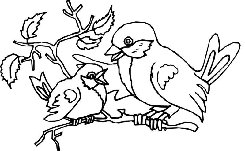 Doctor Bird coloring #6, Download drawings