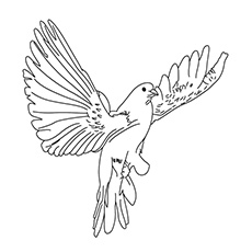 Doctor Bird coloring #19, Download drawings