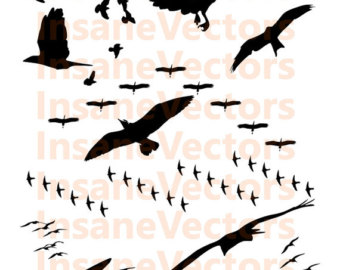 Flock Of Birds svg #7, Download drawings