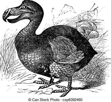 Dodo clipart #6, Download drawings